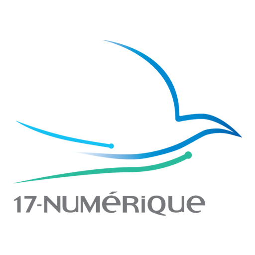(c) 17-numerique.fr